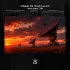 VA - Ones to Watch 38