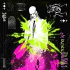 Fever Ray-The Year Of The Radical Romantics-WEBMARR