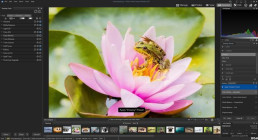 ACDSee Photo Studio Ultimate 2026 v19.1.0.4501 (x64)