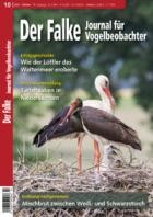 Der Falke - Journal fuer Vogelbeobachter 10/2023