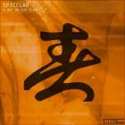 Spicelab - A Day On Our Planet LP