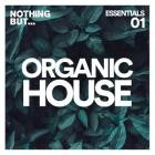 VA - Nothing But -  Organic House Essentials, Vol  01