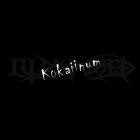 Illdisposed - Kokaiinum