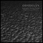 Obsidiaan-Isotropic Vector Fields- LL016 -16BIT-WEB-FLAC-2025-BABAS
