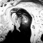 Detach The Islands - A Highly Magnified History