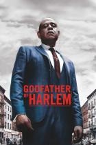 Godfather of Harlem - Staffel 2