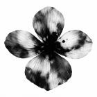 Edoquarto - Free Fall, Summer Tales