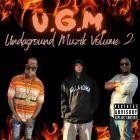 U G M  - Undaground Muzik Volume 2