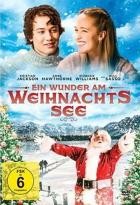 Ein Wunder am Weihnachtssee