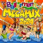 Ballermann Megamix 2024