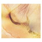 Fields We Found-Thoughts Persist- QD48 -24BIT-WEB-FLAC-2026-BABAS