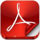 Adobe Acrobat Pro DC 2024.002.20895 (x64)