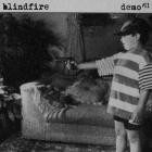 Blindfire - Demo #01