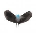 Dalek & Charles Hayward - HAYWARDxDALEK