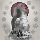 Cellar Darling-This Is the Sound-24BIT-48KHZ-WEB-FLAC-2017-FLACCiD