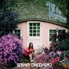 Brian D'Addario - Till the Morning