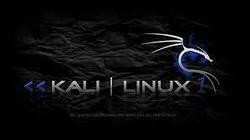 Kali Linux 2021.2 (x64)