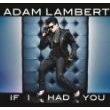 Adam Lambert - If I Had You