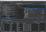 JetBrains Data Grip 1.3 2018