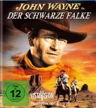 Der schwarze Falke