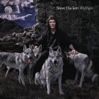 Steve Hackett - Wolflight