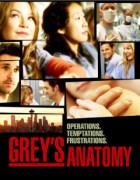 Grey's Anatomy - XviD - Staffel 9 (HD-Rip)