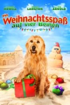 Ein Weihnachtsspass auf vier Beinen