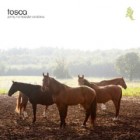 Tosca - Pony No Hassle Versions