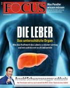 Focus Magazin 47/2017