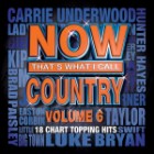 Now That's What I Call Country Vol.6