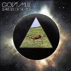 Gov't Mule: Dark Side Of The Mule