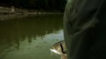 King Fishers S01E03 Folge 3