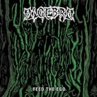 Algebra - Feed The Ego