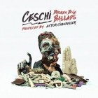 Ceschi - Broken Bone Ballads