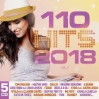 110 Hits 2018 Vol.2