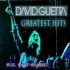 David Guetta - Greatest Hits 2012