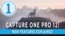 Capture One Pro v12.0.1.57 Portable