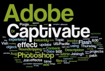 ADOBE Captive V8 (x64)