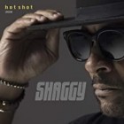 Shaggy - Hot Shot 2020 (Deluxe)