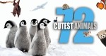 72 Cutest Animals 1.09