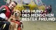 Der Hund - Des Menschen bester Freund - Freund und Helfer