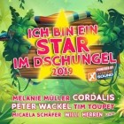 Ich bin ein Star im Dschungel 2019