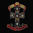 Guns N Roses - Appetite For Democracy