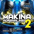 VA  -  Rewired Records Makina Adrenaline 2