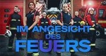 Im Angesicht des Feuers 2.01