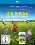 Die Wiese: Ein Paradies nebenan