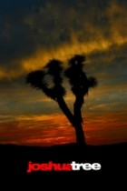 Joshua Tree