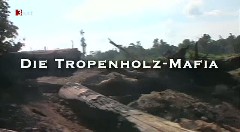 Die Tropenholz-Mafia