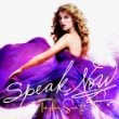 Taylor Swift - Speak Now Karaoke