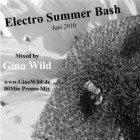 Dj Gino Wild - Electro Summer Bash - Juni 2010